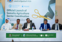 Somalia launches national agriculture platform to strengthen food security and farmer livelihoods