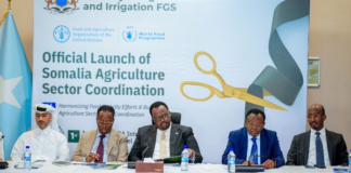 Somalia launches national agriculture platform to strengthen food security and farmer livelihoods