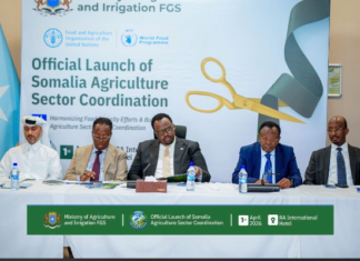 Somalia launches national agriculture platform to strengthen food security and farmer livelihoods