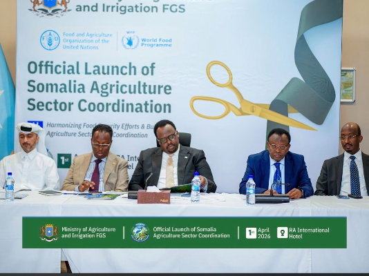 Somalia launches national agriculture platform to strengthen food security and farmer livelihoods