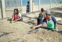 IFAD and Bank of Uganda launch remittance dashboard to strengthen transparency and financial inclusion