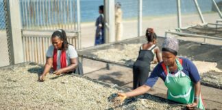 IFAD and Bank of Uganda launch remittance dashboard to strengthen transparency and financial inclusion