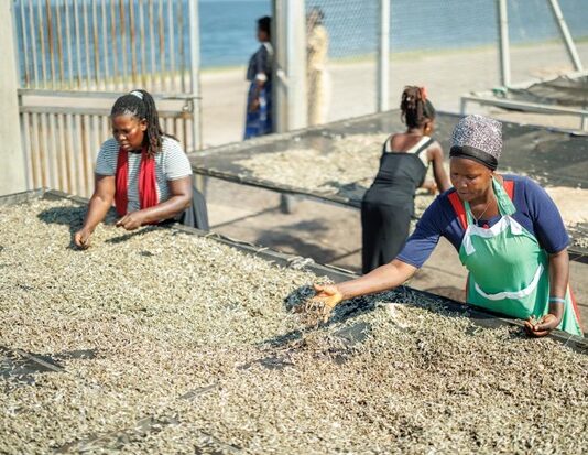 IFAD and Bank of Uganda launch remittance dashboard to strengthen transparency and financial inclusion