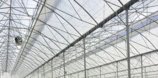 Using IPM and active crop protection, Arrigoni Group takes on insect pests in seed crops