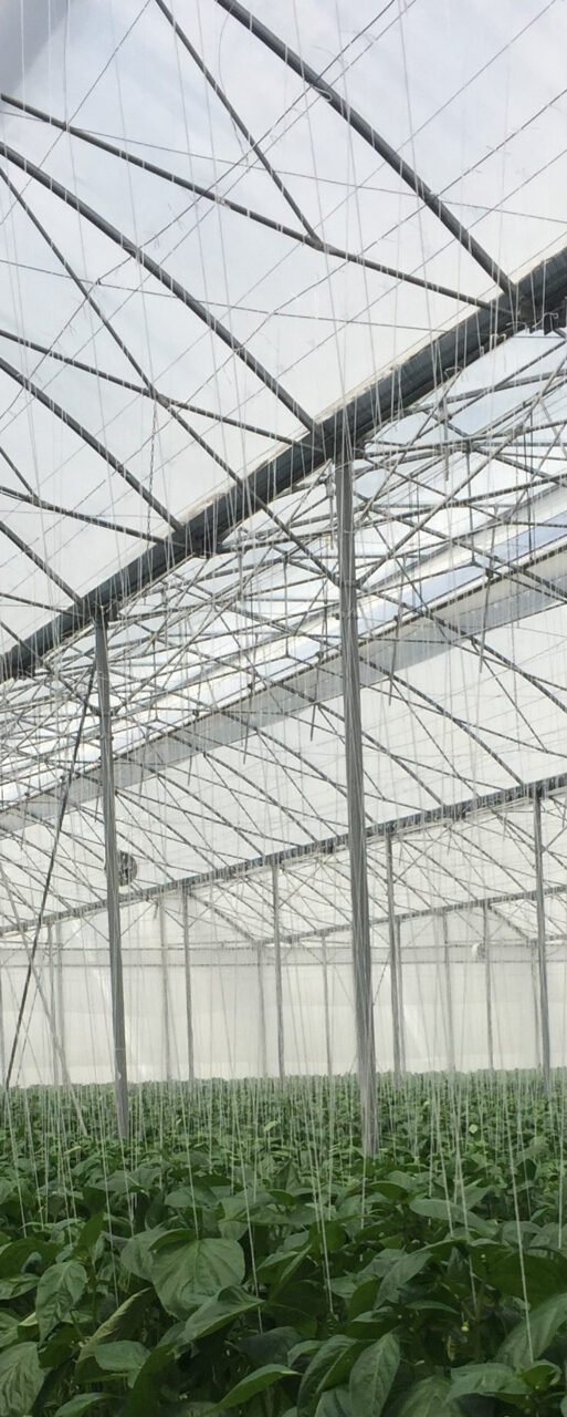 BIORETE AIR PLUS (1)
