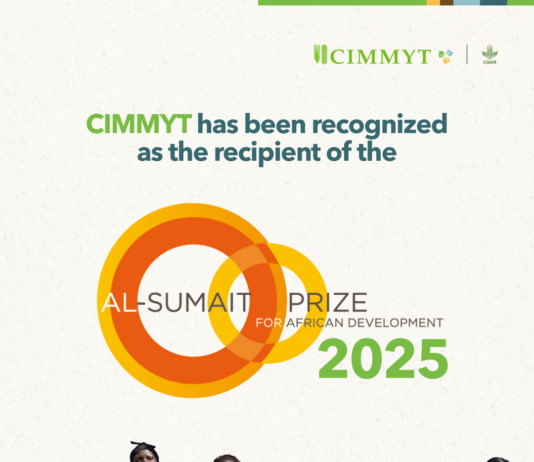 CIMMYT receives 2025 Al-Sumait Prize for African Development, recognizing decades of science for food security
