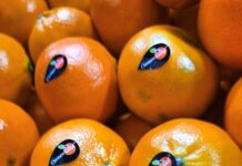 ClemenGold and Sinclair partners for sustainable fruit labeling