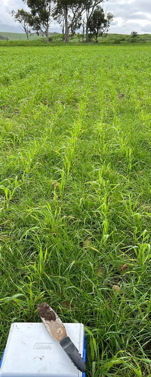 Corteva AgroScience
