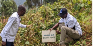Rwanda’s school meals initiative drives higher income for local farmers