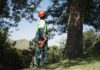 How proper pruning improves food production and home gardening in Zambia during winter