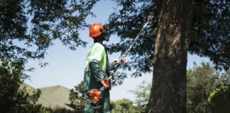 How proper pruning improves food production and home gardening in Zambia during winter