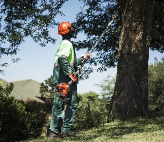 How proper pruning improves food production and home gardening in Zambia during winter