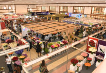Kenya flower industry defies global headwinds