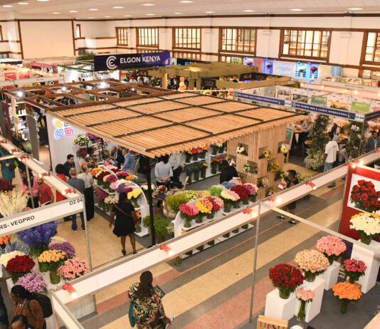 Kenya flower industry defies global headwinds