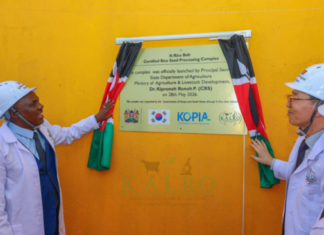 Kenya, Republic of Korea launch modern rice seed facility to boost local production