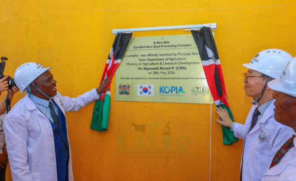 KALRO, Republic of Korea collaboration on modern rice seed production modernaisation
