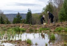 Komatsu and Green Forests Work team up on reforestation effort aimed at protecting watershed