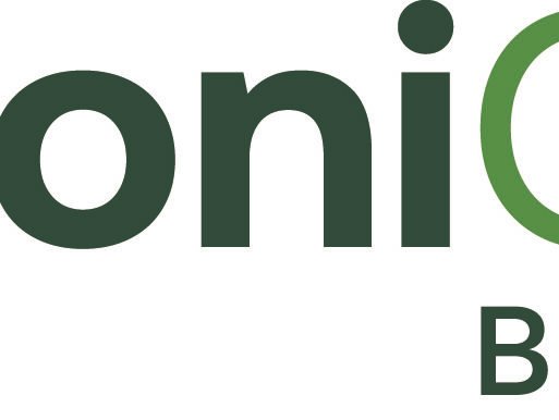 Logo_ArrigoniGROUP_BeyondProtection