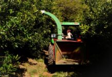 Unlocking agricultural productivity is key to fighting food inflation and closing the supply gap