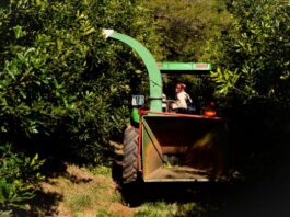 Unlocking agricultural productivity is key to fighting food inflation and closing the supply gap
