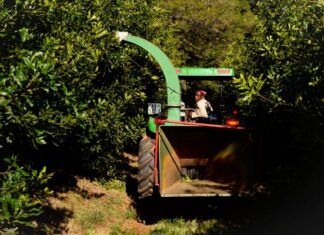 Unlocking agricultural productivity is key to fighting food inflation and closing the supply gap