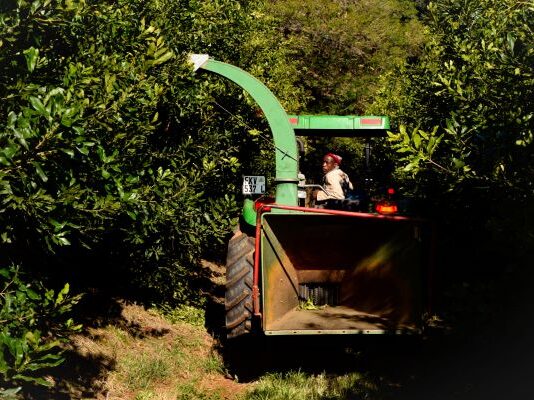 Unlocking agricultural productivity is key to fighting food inflation and closing the supply gap