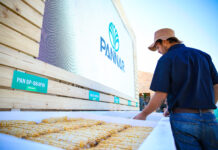 Pioneer and Pannar Double Down on Agricultural Resilience at NAMPO Harvest Day