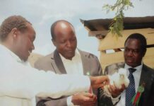 One-day lesson turns Kenyan tech graduate into a renown village integrated farmer