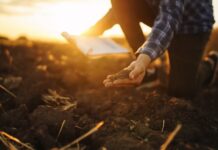 Why nutrient efficiency, not input volume, determines profit on farm