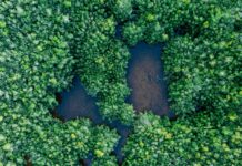 International Day for Biological Diversity emphasises need for Local Action and Improved Research in Africa