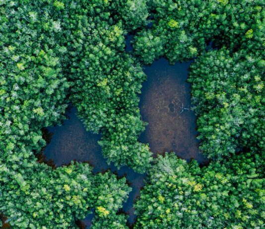 International Day for Biological Diversity emphasises need for Local Action and Improved Research in Africa