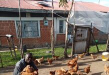 How rural youth in Kenya beat the odds to finance their own agribusiness dreams