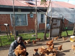 How rural youth in Kenya beat the odds to finance their own agribusiness dreams