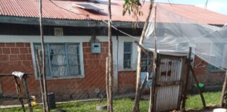 How rural youth in Kenya beat the odds to finance their own agribusiness dreams