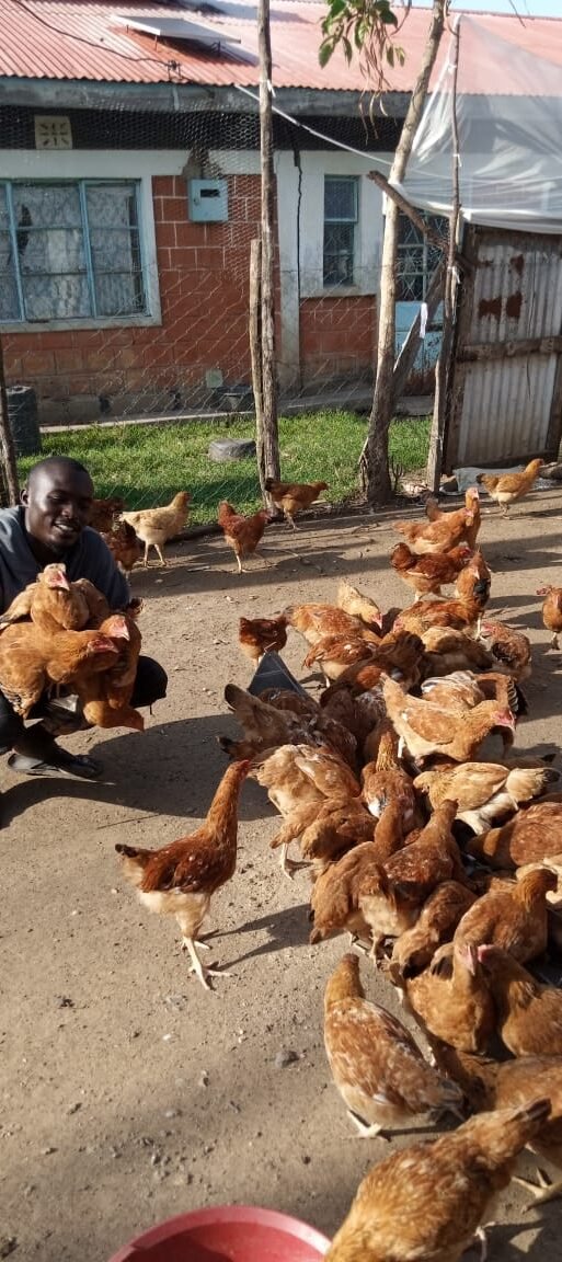 chicken reared by Nyambaja youth group