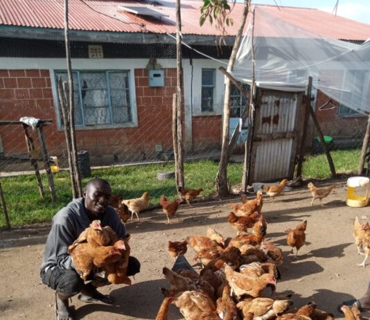 How rural youth in Kenya beat the odds to finance their own agribusiness dreams