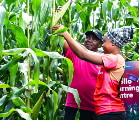 Kenya unlocks private capital for smallholder farmers with KES 276m agri-securitisation deal
