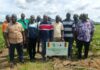 Op-Ed: How West Africa is winning the fight against pesticide resistance in Africa