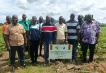 How West Africa is winning the fight against pesticide resistance in Africa
