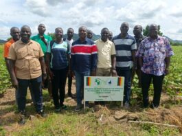 Op-Ed: How West Africa is winning the fight against pesticide resistance in Africa