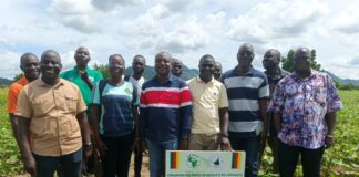 Op-Ed: How West Africa is winning the fight against pesticide resistance in Africa