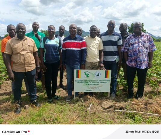 Op-Ed: How West Africa is winning the fight against pesticide resistance in Africa
