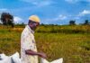 Biological seed treatments and precision ag drive market growth across Europe