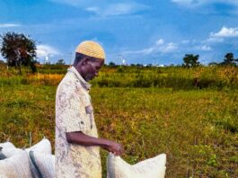 Biological seed treatments and precision ag drive market growth across Europe