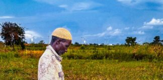 Biological seed treatments and precision ag drive market growth across Europe