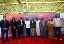 Kenya eyes sugarcane ethanol to cut fuel costs and revive sugar industry