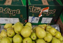 India market access: A lifeline for SA apple industry competitiveness