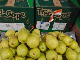 India market access: A lifeline for SA apple industry competitiveness