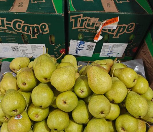 India market access: A lifeline for SA apple industry competitiveness