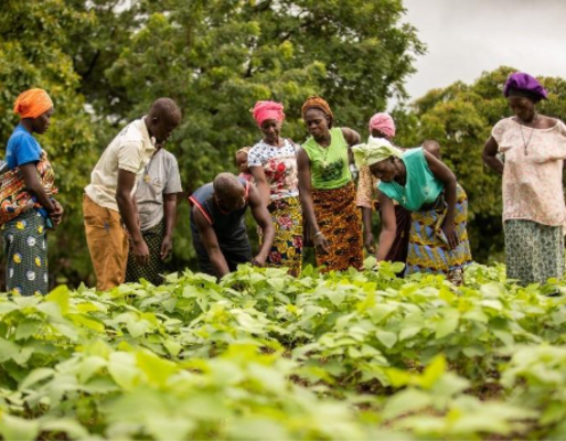 Burkina_Faso_and_Ghana_cross-border_farmers